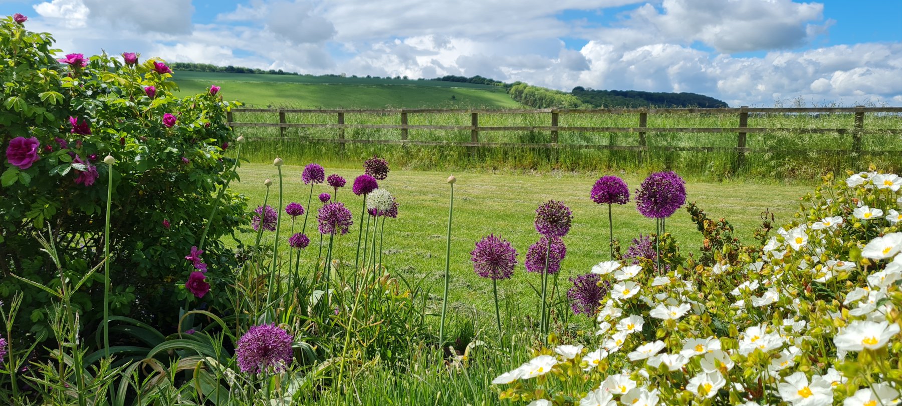 Garden design detail
